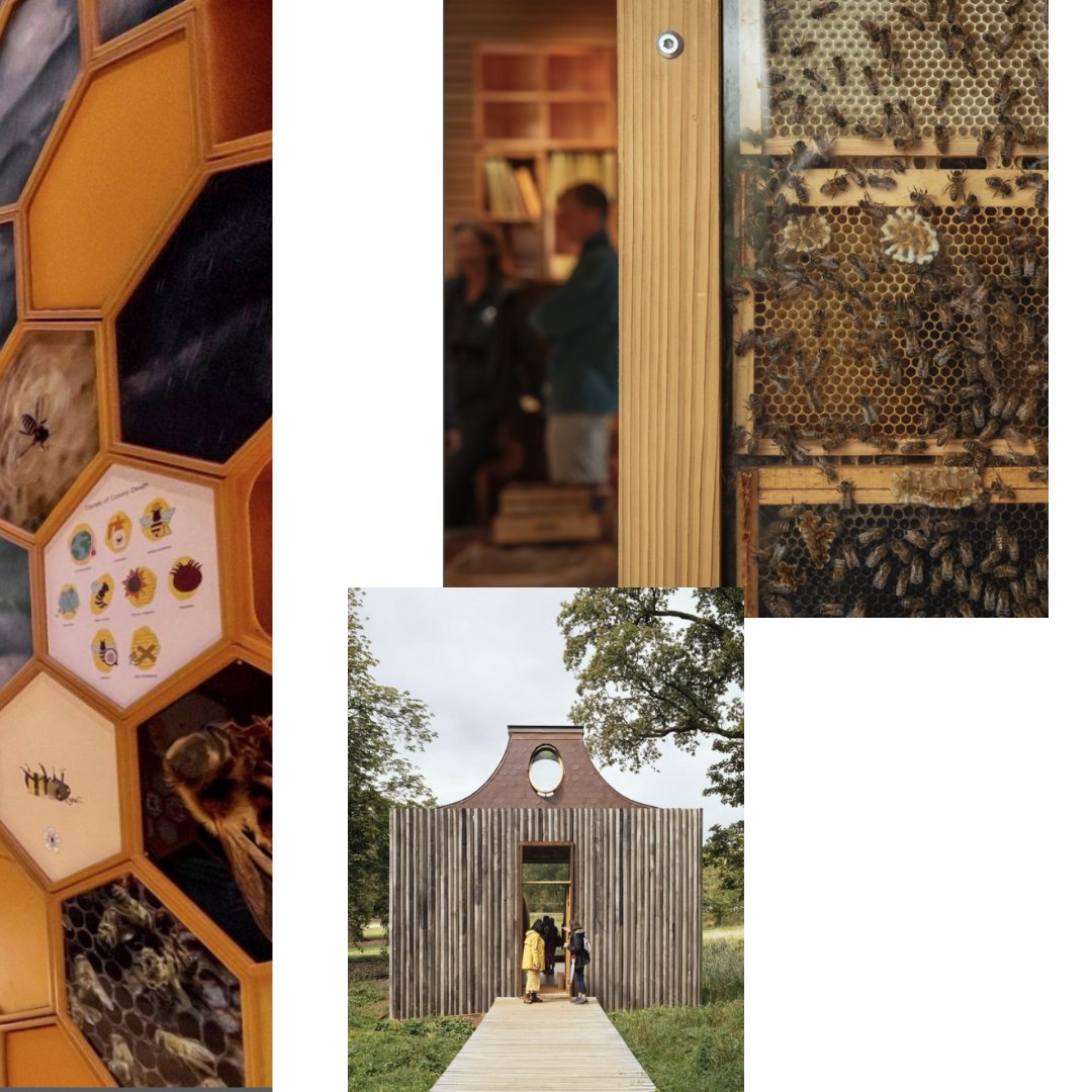 cantifix's tweet image. A truly amazing example of #EcoArchitecture:

📍 Beezantium Apiary, The Newt in Somerset
📐 Invisible Studio
📷 Images courtesy of Invisible Studio

The project was a collaborative effort between:
Kossmanndejong, GL&amp;amp;SS, Q4GLASS, STONEWOOD BUILDERS, LTD.