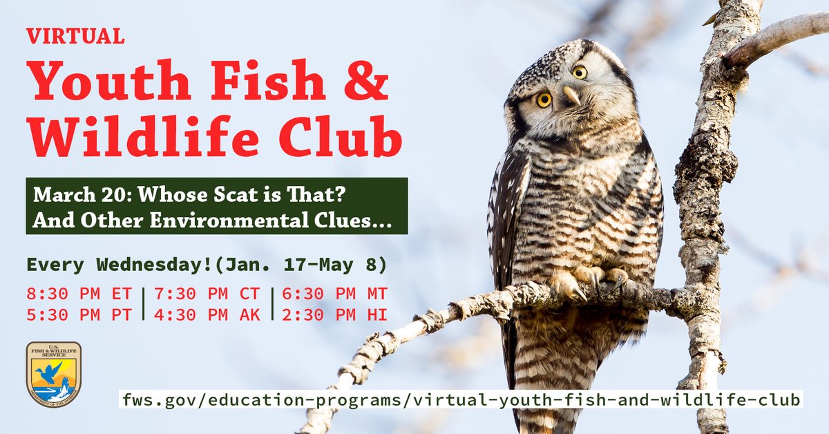 Who pooped in the woods? (don’t worry, it’s educational poop…) This Weds. 3/20 Youth Fish and Wildlife Club features lessons for understanding the environment around us at this week’s club: “Whose Scat is That? And Other Environmental Clues…” 🔗fws.gov/education-prog…