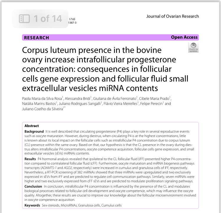 A new article from our group. Is there a local effect in terms of P4 and follicle environment? Some of the answers are in this article. <a href="/AgenciaFAPESP/">Agência FAPESP</a> <a href="/fzeausp/">FZEA USP</a> 
doi.org/10.1186/s13048…