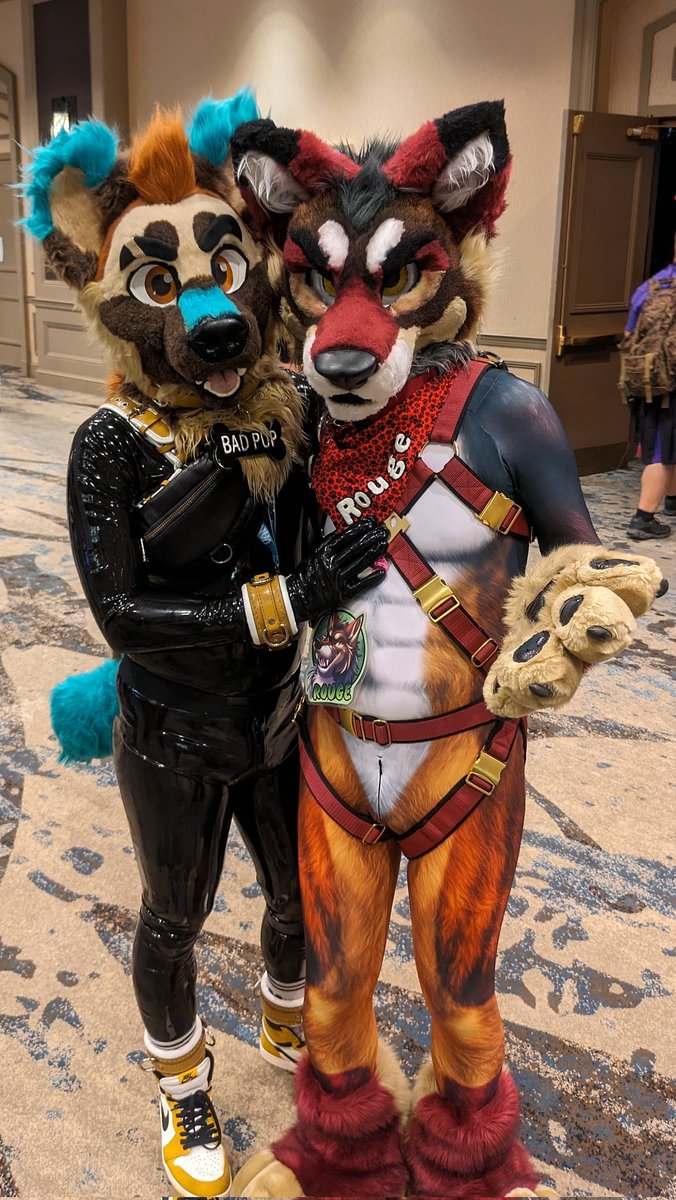 Another cutie I'm glad I got to hang with at #TFF2024. They're a very good wolf! 🍓🐺: @RougeWuff #rubberfur #furry #FursuitEveryday