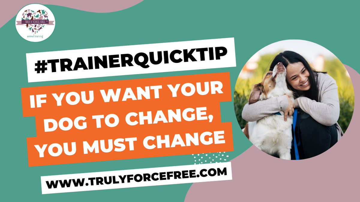 forcefree_pets's tweet image. 🐶👩‍🦰🧔#trainerquicktip If You Want Your Dog To Change, You Must Change! Find out why 👉 vimeo.com/388329227?shar…