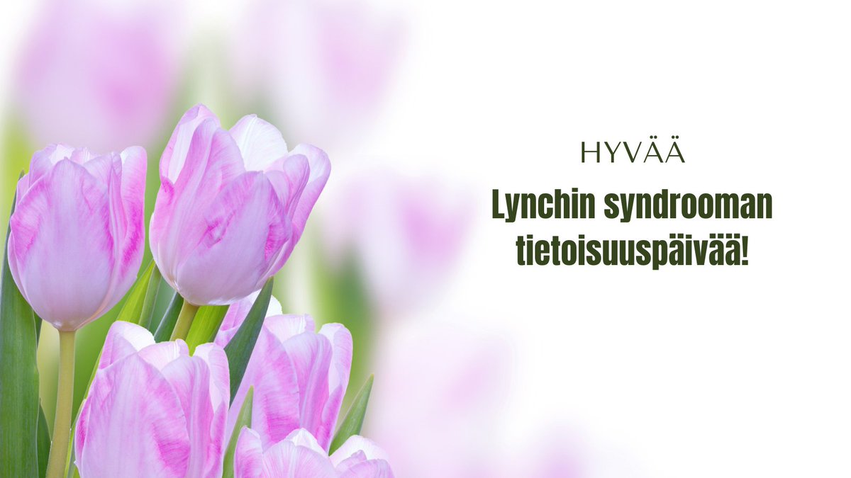 Lynchin syndrooma kuuluu yleisimpien periytyvien syöpäoireyhtymien joukkoon, jotka lisäävät yksilön riskiä sairastua nuorena paksusuolisyöpään ja useisiin muihin syöpiin. Suomessa Lynchin syndrooman kantajia on noin 10 000. Lue lisää nettisivuiltamme: colores.fi/lynchin-syndro…