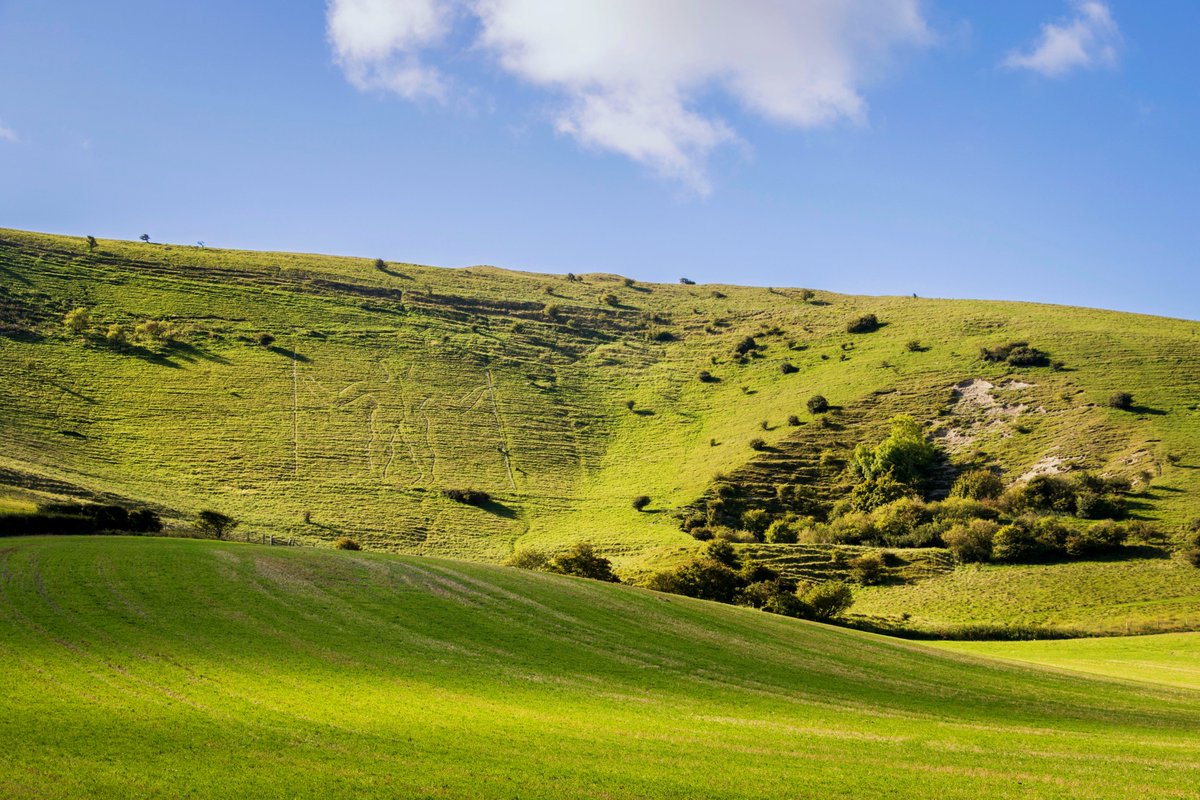 A beautiful walk through the countryside, learning about the history, flora and fauna as you go – what’s not to love? This guided walk is sure to have magnificent scenery and enlightening talks along the way! Book your free ticket here: shorturl.at/aerx8 📷 Matt Kuchta