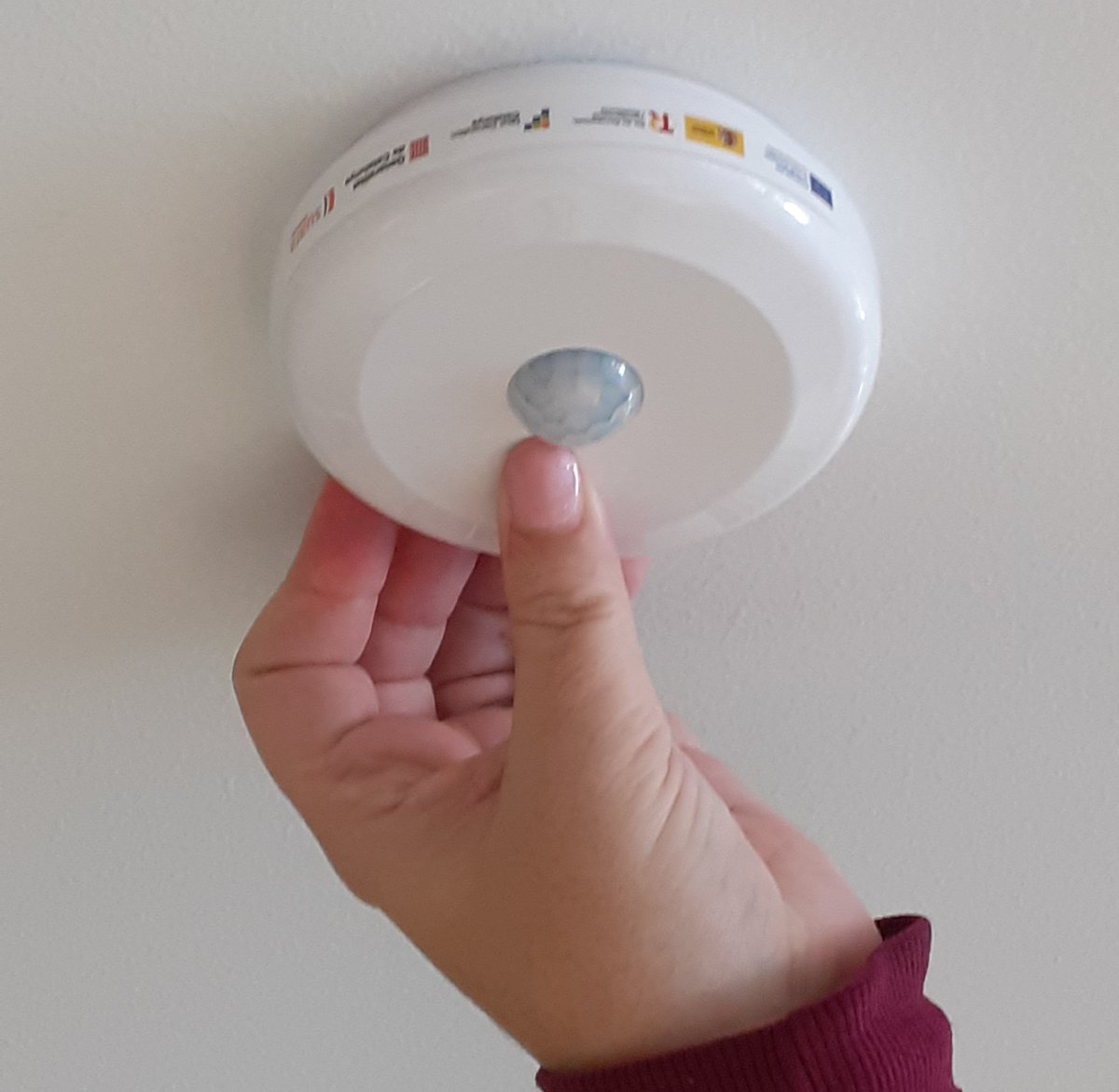 suaracoop's tweet photo. 👏 Estem molt contentes d'anunciar que ja ha arribat a una desena de llars la tecnologia de #LlarsConnectades, que ha desenvolupat @RoboticsYasyt i compta amb el suport d'un #FonsNextGenerationEU del @dsocialscat.
⌚️ A través de rellotges intel·ligents, assistents de veu, sensors i la #IA millorem la seguretat i combatem la soledat no desitjada de persones en situació de dependència i gent gran.
👉 Si vols saber més sobre el projecte: https://t.co/riEvSKRQ7N
#SuaraInnovació #innovaciósocial #transformaciódigital #Tecnologia