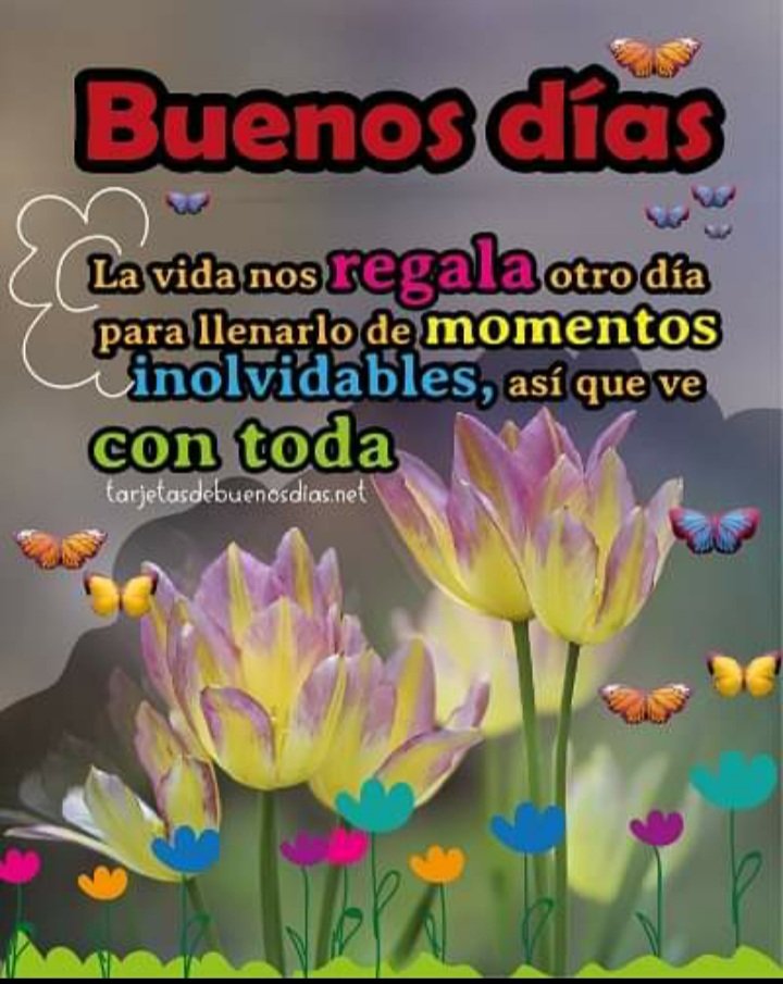 BLANCA ESTELA BERMUDEZ NAVARRETE (@estela_bernav) on Twitter photo 