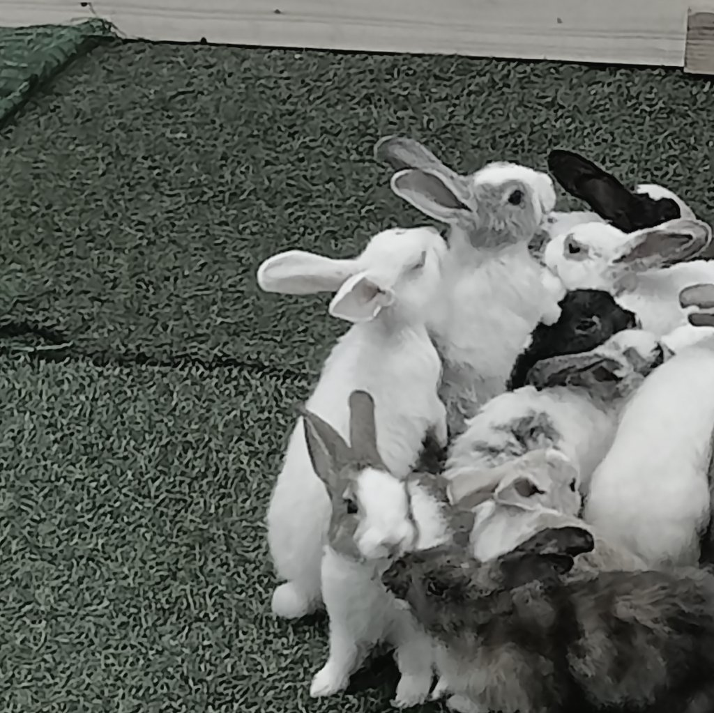 area 0f mind (@t9chq) on Twitter photo 