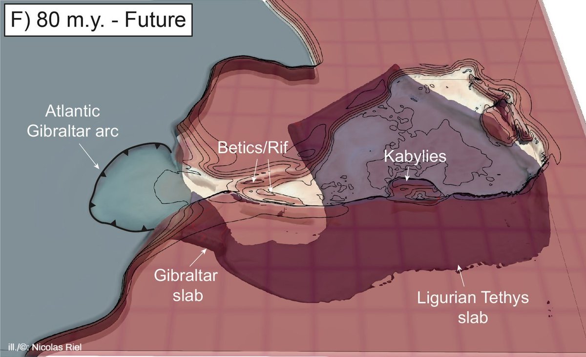 uni_mainz_eng's tweet image. From the Mediterranean into the Atlantic: The Gibraltar arc is migrating to the west, with the #subduction zone under the #StraitOfGibraltar invading the #Atlantic Ocean after a period of quiescence press.uni-mainz.de/from-the-medit… #geophysics #geodynamics  #geosciences @GeoScienceWorld