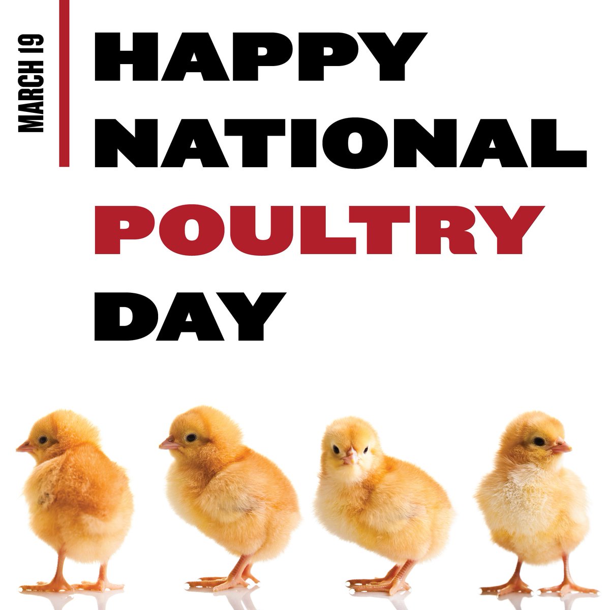 Happy #NationalPoultryDay from Wayne-Sanderson Farms! Join us in taking a moment today to appreciate the hard work of our family farmers and team members who help ensure we all have delicious poultry products on the table. #MakingChickenAmazing