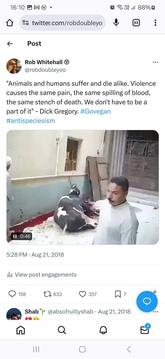 Rob Whitehall Ⓥ tweet media