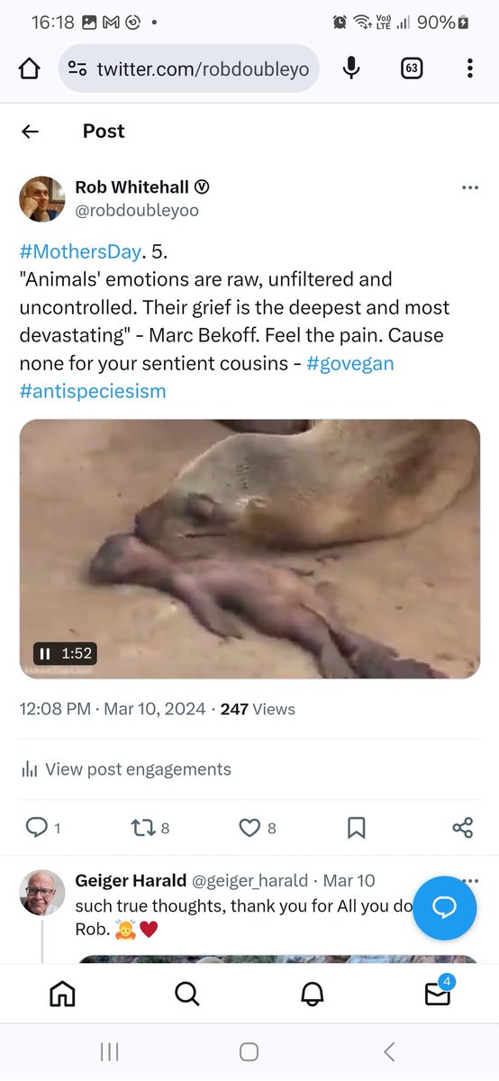 Rob Whitehall Ⓥ tweet media