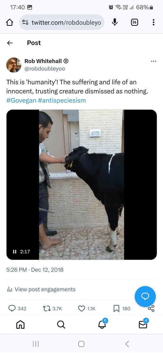 Rob Whitehall Ⓥ tweet media