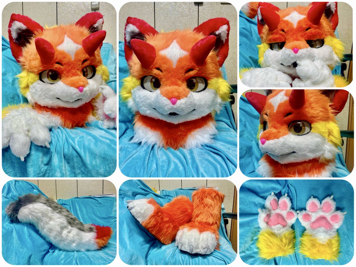 柴鹿毛工坊 tweet media