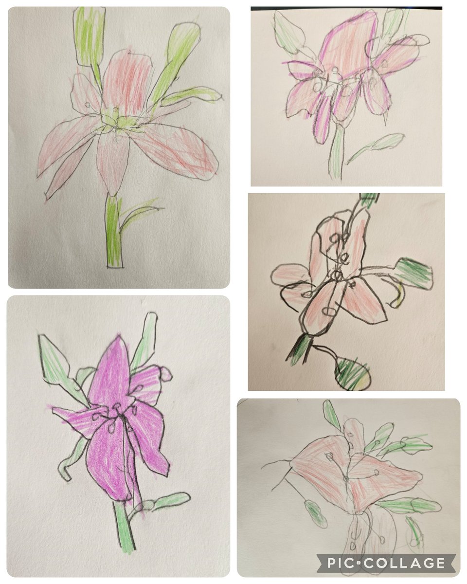 stjosephskly's tweet photo. Maple Class have been making and drawing lillies and drawing St Joseph .We enjoyed a biscuit and juice to. Happy St Joseph's Day .🪓🪵 #SJKre #MapleClass @bcw_cat  #SJKeyfs https://t.co/tST6wmBaJ2