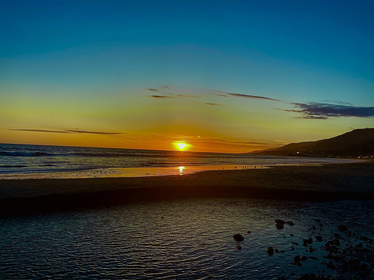 DAWN NOEL (@dawnnoelactor) on Twitter photo 