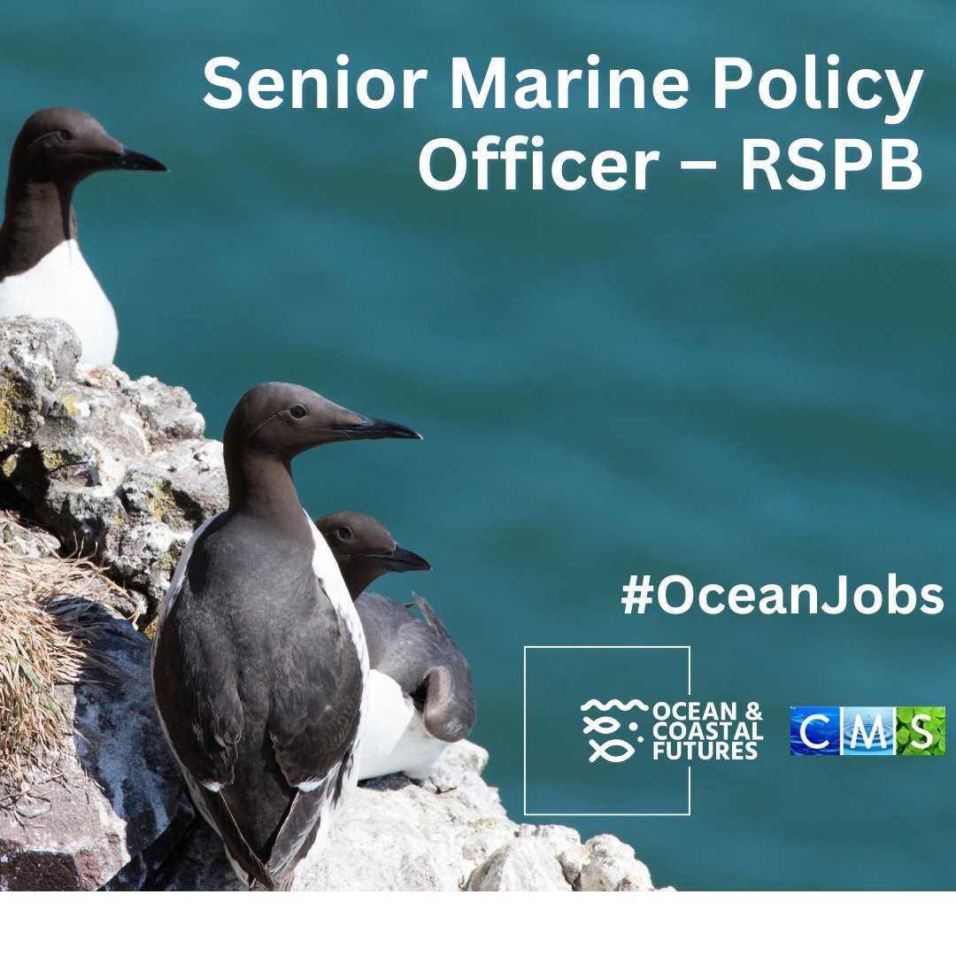 🔔New #job opportunity: Senior Marine Policy Officer – @Natures_Voice ▪️Location: Flexible in the UK ▪️Salary: £36k - £39k ▪️Closing: 19 April ▪️Full details here 👉 cmscoms.com/?p=38415 📩Sign up for our #OceanJobs alerts here 👉 bit.ly/3MiyV7i #vacancy