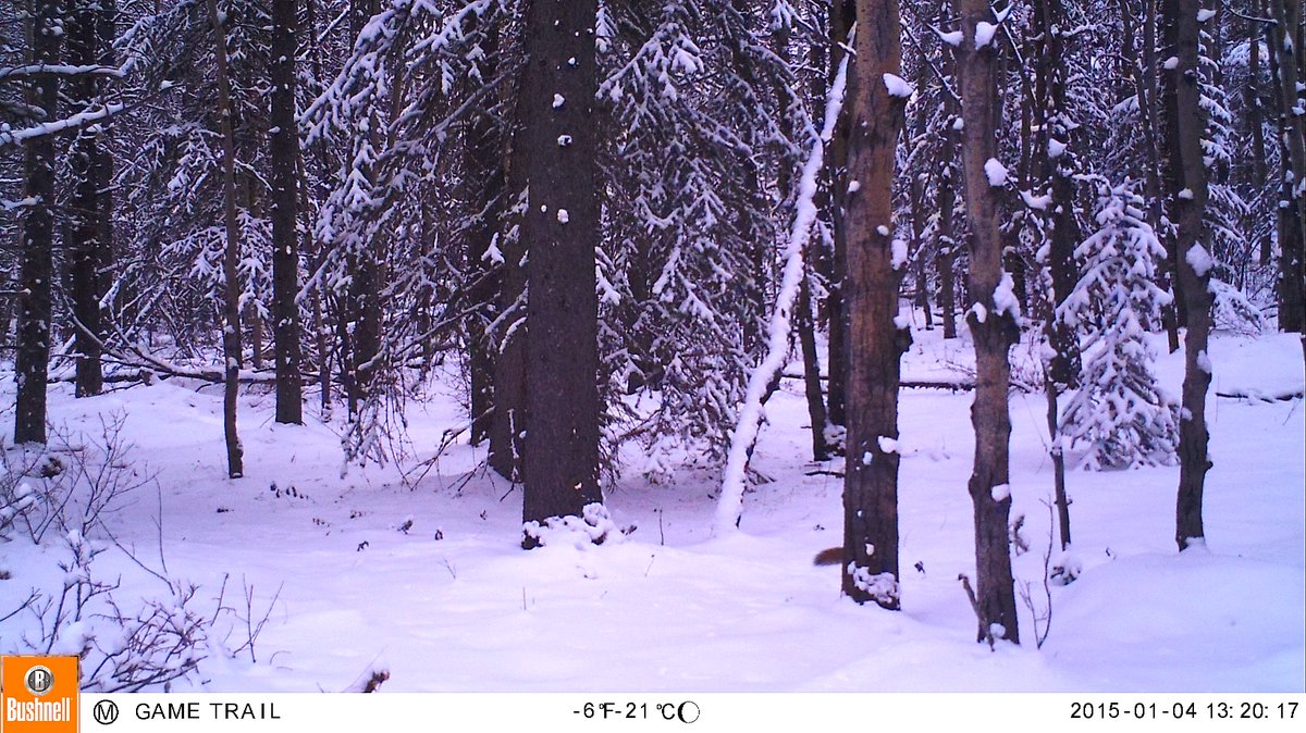 Tyler Dixon tweet media