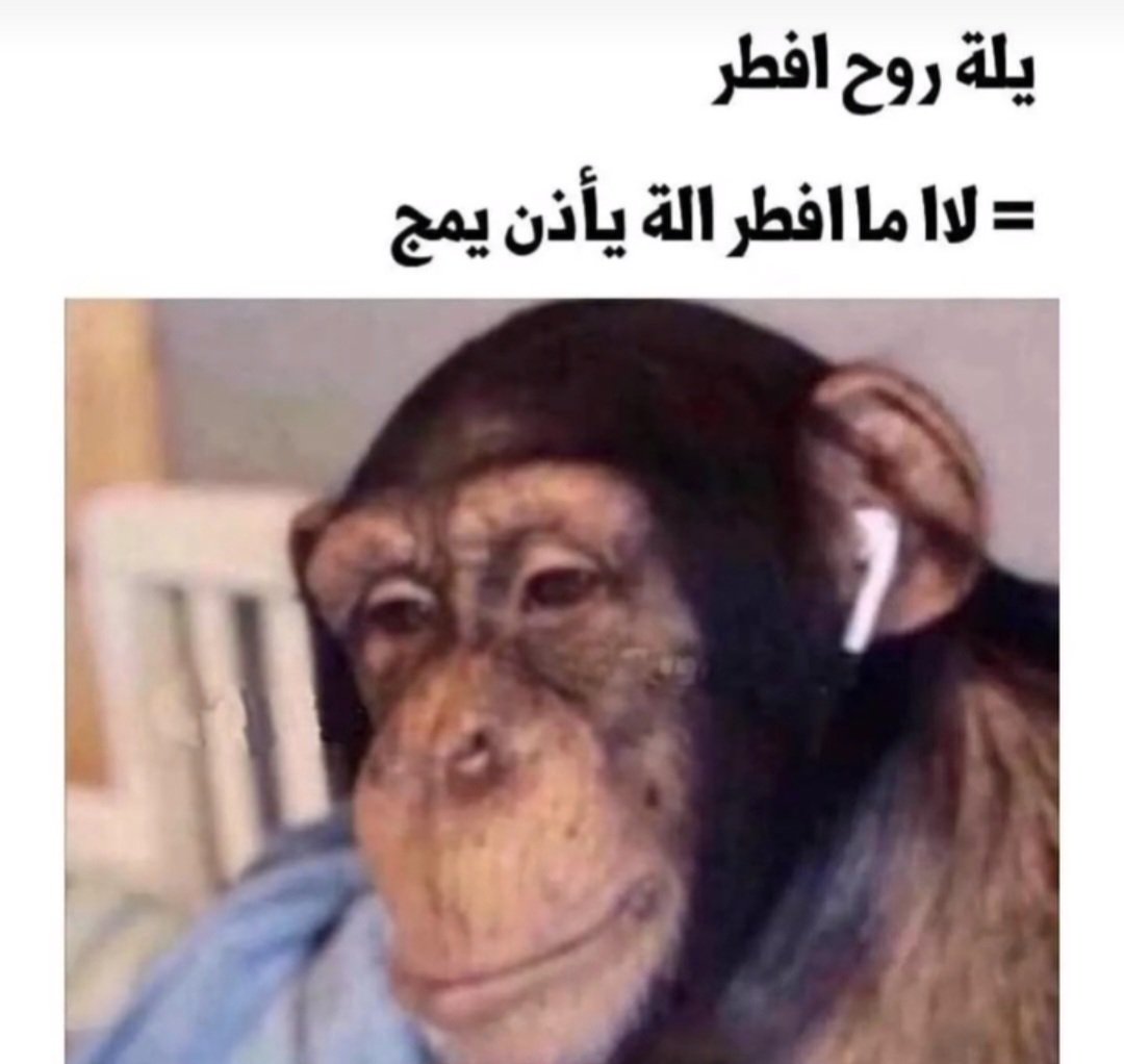 واحده من عجائب العراقيين 😉