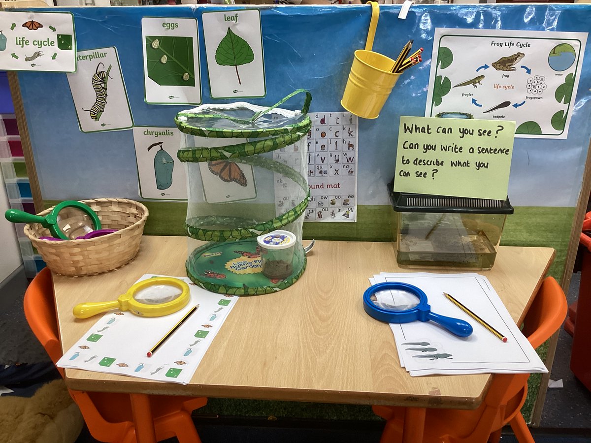 Mrs Hamilton tweet media