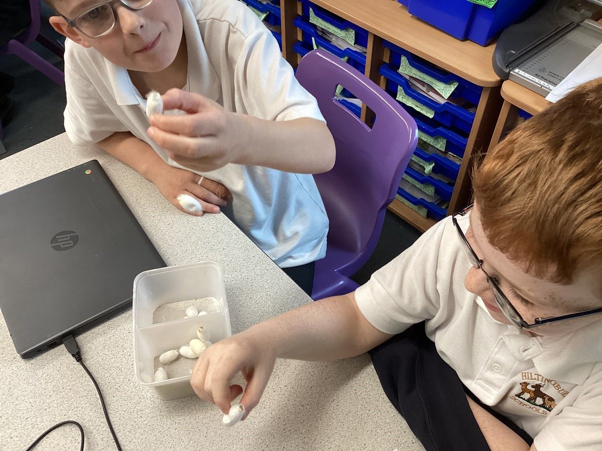 Y5 had an inspiring workshop with Dr. Verity Jones from Sparks Bristol, delving into the impact of fast fashion. The children thoroughly enjoyed the session showing their passion in making a difference by caring for their clothes and the planet. #SustainableFashion #sparksbristol