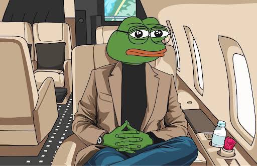 Ryan Mula 🌴 tweet media