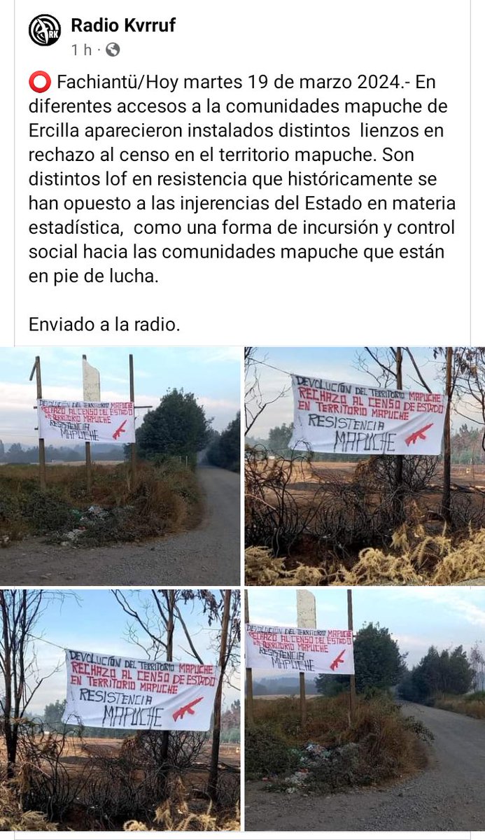 FEWLA WALMAPU ERCILLA Ahora. En distintas comunidades mapuche de la zona de Ercilla se han instalado lienzos en rechazo al #Censo2024 del estado shileno. Vía @RadioKurruf @rvfradiopopular @LafkenMawida @RadioMulutu @_Aukin @PuLofMapuXawvn @PeriodistaFigue @AraucaniaOnline