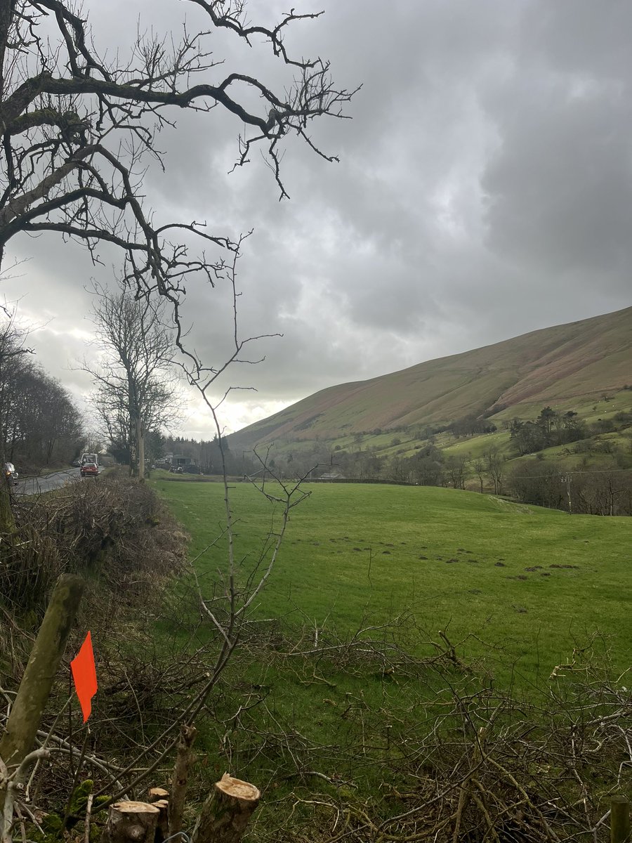 annabeltwiddle's tweet photo. Waiting at Cautley for my niece @SedberghSchool #wilsonrun 
There’s something very special about this day ….if you know you know 🤎 https://t.co/LOPDhDxma5