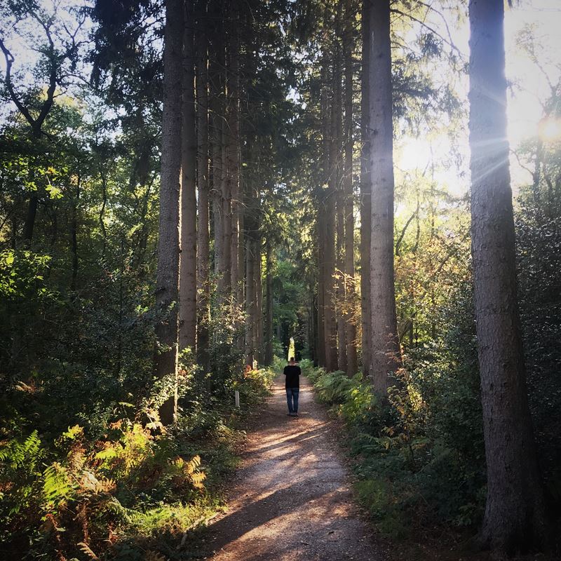 Op de Dag van het Bos wijzen we je graag op de mogelijkheden om in Zuid-#Limburg door de bossen te wandelen. Geniet hier van de eerste zonnestralen onder het bladerdak. Ontdek ze in onze Top 6 onontdekte bossen in Zuid-Limburg: ap.lc/IUwty #visitzuidlimburg #toerisme