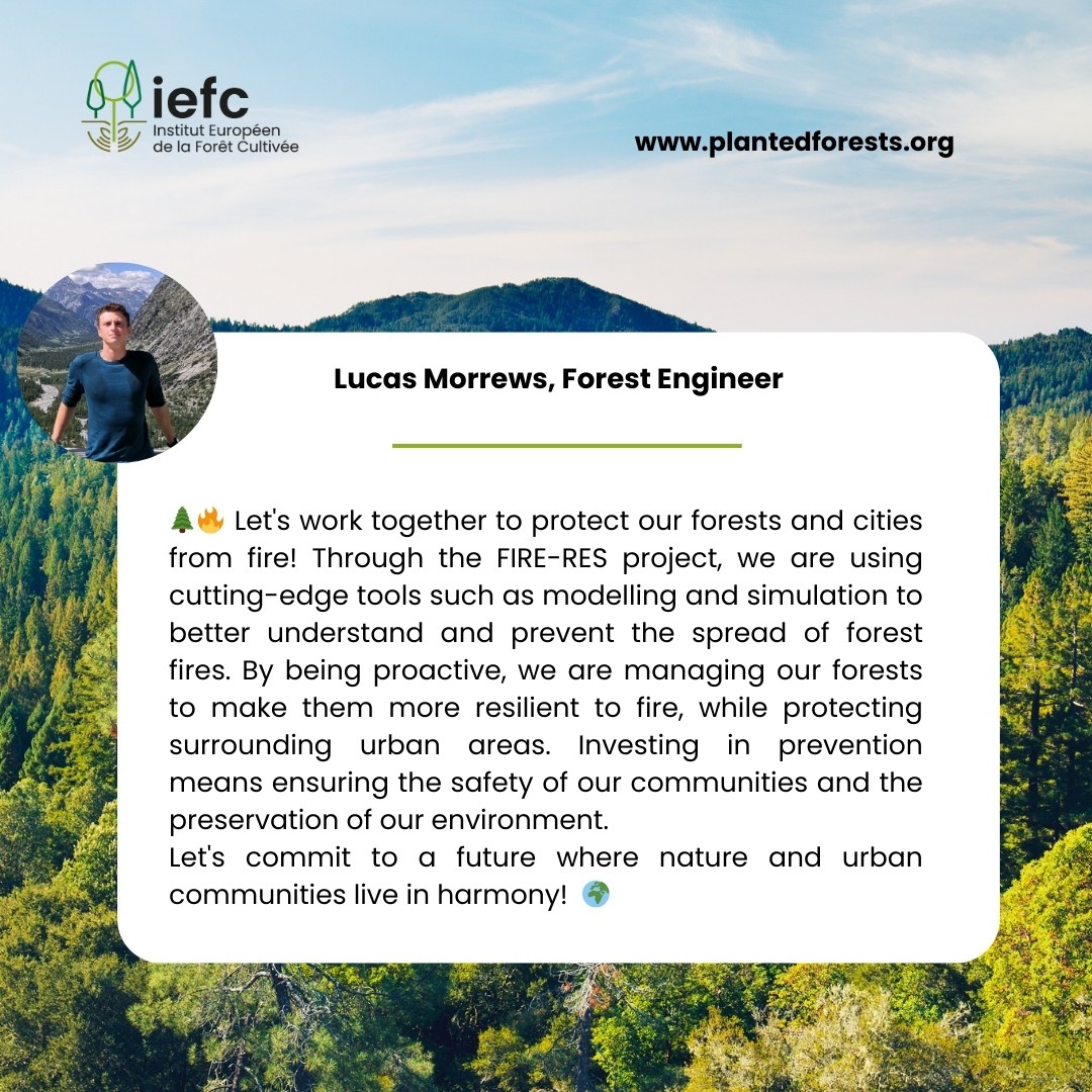 IEFCPlantForest's tweet photo. 🌳🌲On this International Day of Forests, let's read a message from Lucas Morrews, Forest Engineer at IEFC, about the FIRE-RES project.
#JournéeInternationaledesForêts #forests #forets #Internationaldayofforests #JIF2024 #ForestsDay @FIRERESProject #fireres https://t.co/mmfz8vTC18