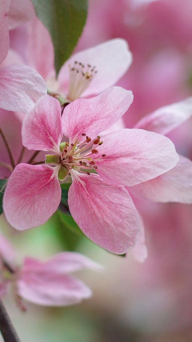 thesneakylens tweet media