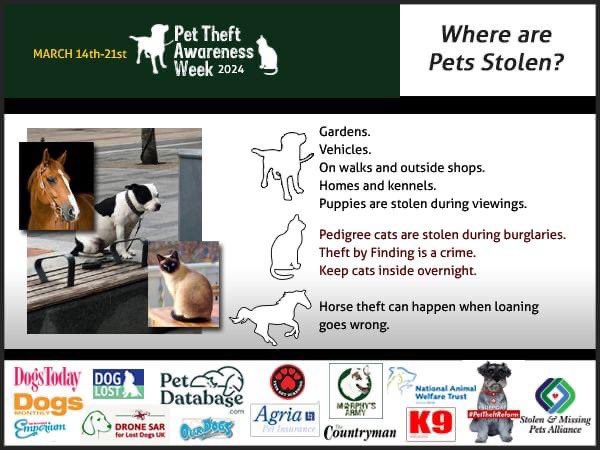 #PetTheftAwarenessWeek 

WHERE ARE PETS STOLEN FROM 🤔

GARDENS / ON WALKS / OUTSIDE DHOPS, SCHOOLS / HOMES & KENNELS / PUPPIES DURING VIEWINGS 
HOUSE BURGLARIES / HORSE THEFT CAN HAPPEN WHEN LOANING GOES WRONG 
#Theftbyfinding IS A CRIME 
@PetTheftUK @SheilaGarci2 @PcsharonPage