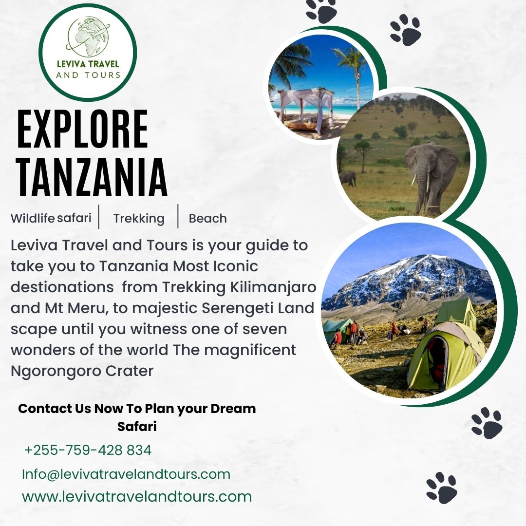 Explore Tanzania with Leviva Travel and Tours!
Embark on an unforgettable Tanzanian adventure with wildlife safaris, trekking expeditions, and relaxing beach vacations.

Contact Us today to plan your dream safari!

🌐levivatravelandtours.com