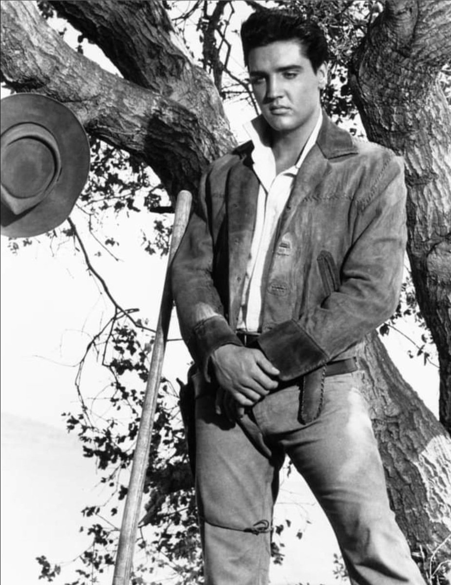Malakof5thAve's tweet photo. Today's dose of vitamin E-LVIS🎸
#Elvis #ElvisPresley #ElvisHistory #Elvis2024 #Graceland #Gospel #TCB #FlamingStar https://t.co/QQCOdJaY7m