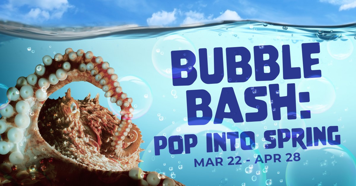 Pop into spring at Adventure Aquarium's new Bubble Bash, running March 22 to April 28! Enjoy bubble-themed exhibits, activities, and photo ops. Extended hours from 9:30 a.m. to 5 p.m. daily from March 22 to April 7. Get tickets and discover more at tinyurl.com/23k4d3np!