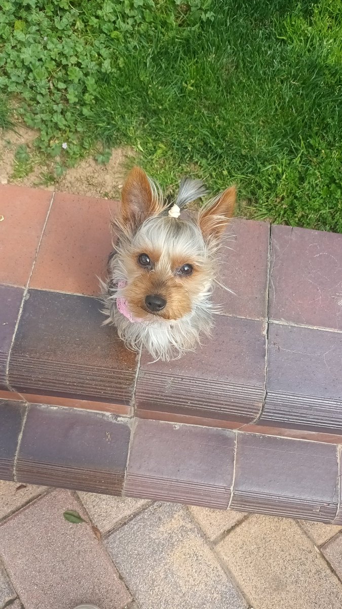 IsaCV23's tweet photo. Wendy al solecito ☀️ https://t.co/7NrODqH1Vb