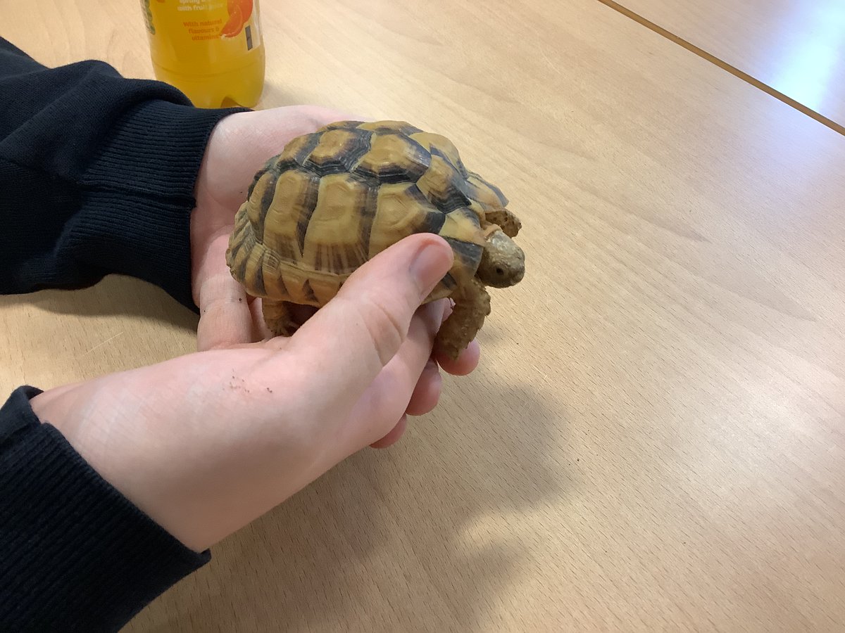 FHSComputingClub tweet media