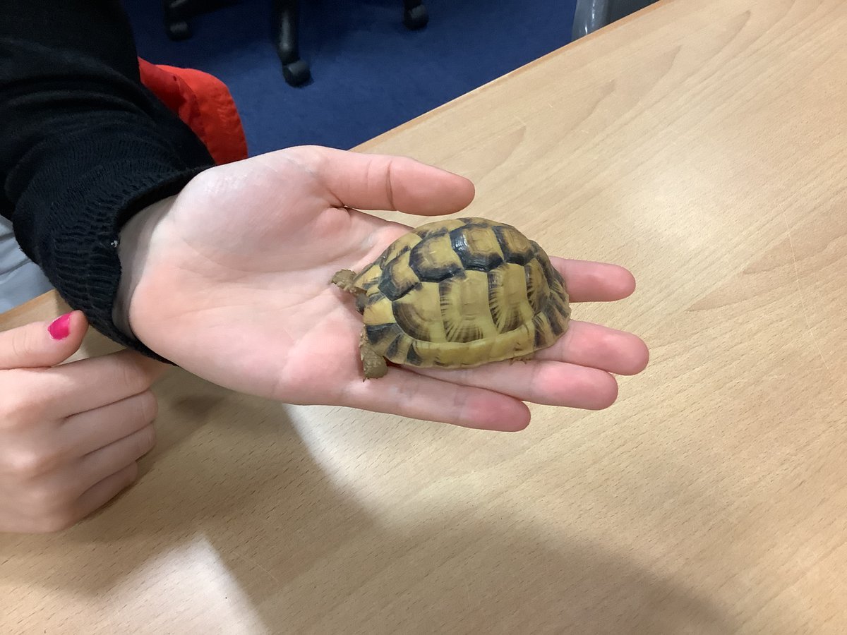 FHSComputingClub tweet media