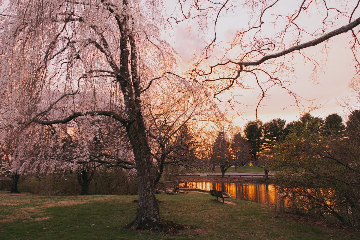 happy first day of spring, #Hokies! 🌸 (it’s 30 degrees in Blacksburg)