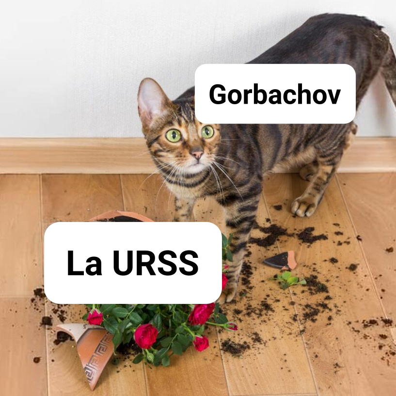 Memes Marxistas-Leninistas ⭐ tweet media