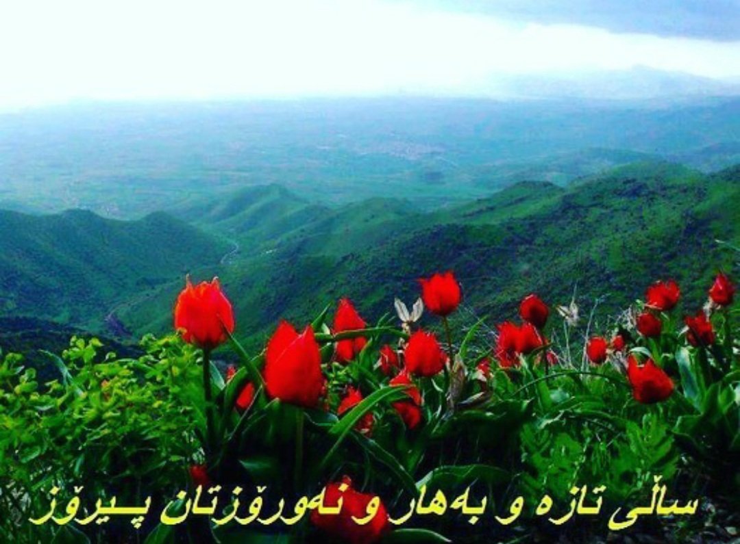 ebrahim34620931's tweet photo. دەسکەوتەکانی شۆرشی ژینا قابیلی هەڵگەرانەوە نین

کۆمەڵانی خەڵکی کوردستان
۱/۲
"به‌هار دێت و سروشتی ڕازاوە بە دیاری دێنێت و جارێکی دیكه هەمان وانەی گەورەی سەرلەنوێ ژیانەوە و سەرلەنوێ سازدانەوەمان بیر دەخاتەوە؛
نەورۆز و ساڵی تازەتان پیرۆز بێت.ساڵێكی پڕ لە خۆشی و پڕ لە كامەرانی و سەركەوتنتان بۆ ئاواتەخوازین. با لەم نەورۆزەدا و لە یەكەم ڕۆژی ساڵی نوێدا جارێكی دیكە ڕێز لە یادی ئازیزترین ئازیزانمان بگرین، ئەوانەی كە سەربەرزانە ژیان و گیانیان لە پێناوی ئازادی و ژیانی ئاسودە و یەكسان بۆ هەموان بەخت كرد. ستایشی خۆڕاگری و دڵ گەورەیی بنەماڵە ئازیزەكانیان دەكەین. درود وسڵاو بۆ خەڵكی خۆڕاگری کوردستان که دەست لەناو دەستی یەک لە پێشوازی نەورۆزی ئەمساڵدا دیمەنێکی دیکە لە شۆڕشی ژینایان بە هەموان نیشان دا. سڵاو لە ژنانێکی زانا و وشیار و بوێر کە لە هەموو ئێران؛ هەر لە زیندانەکانەوە تا سەر شەقامەکان پارێزگاری لە دەسکەوتەکانی شۆڕشەکەیان دەکەن.
ئازیزان؛
ئەگەر ساڵی ڕابردوو بارقورسی قەیرانی ئابووری داڕماوی ئێران بە سەر سەری زۆربەی خەڵکی ئەو وڵاتەدا شکایەوە و ژیانی جەماوەری تا ئاستی ژیانێکی مەمرە و مەژی دابەزاند؛ ئەگەر هەژاری و بێکاری باڵی بە سەر ئەو وڵاتە دا کێشا؛ لە هەمان کاتدا دڵخۆشی و ئومێدمان ئەویە کە ساڵی خەبات و خۆڕاگریی و کۆڵنەدان بوو؛ لە کوردستانی شۆڕشگێڕ و بلوچستانی خۆڕاگر؛ و بگرە لە زۆربەی شوێنەکانی دیکەی ئێران؛ سەرهەڵدانی ژن، ژیان، ئازادی؛ بە لەبەرچاوگرتنی ئەزمونی شەش مانگی یەکەمی شۆڕشی ژینا؛ لە تاکتیک و شێوەی نوێی دا  دا درێژەی پەیدا کرد؛ژنانی پێشڕەو و ئازادە شەقامی شارەکانیان کردە گۆڕەپانی خەبات؛ سەرپۆشی زۆرەملێیان تووڕ هەڵدا و یاسا و ڕێسای ڕژیمی ئیسلامییان خسه ژێر پێڵاوەکانیان؛ ڕێز و حورمەتی ژن لە شوێنی کار و ژیان بە چەند قات باڵای کرد.
 کرێکاران؛ خانەنشینان؛ ژینگە پارێزان؛ مەیدانی خەبات بۆ ژیانیان بۆ یەک ڕۆژیش چۆڵ نەکرد؛ زیندانیانی سیاسی؛ دادخۆازان؛ هونەرمەندان و نووسەرانی پێشڕەو سڵیان لە ئەشکەنجە و زیندان نەکرد؛ ڕاستەوخۆ چاویان بڕییە چاوی دوژمن و و بە ئاشکرا بەرهەمی شۆڕشگیرانەیان پێشکەش کرد؛ هاوکات  جەماەری خەڵک بەشداریی شانۆگەری هەڵبژاردنیان نەکرد و هەمووی ئەوانە حورمەتی دروشمی ئازادیان پاراست؛
 بەمجۆرە بوو کە بە لێبڕاوییەوە دەتوانین بڵێین شۆڕشی ژن، ژیان، ئازادیان دڕێژە پێدا؛ کە بێ گومان دەبێت بە توێشووی ڕێگای بەرەو سەرکەوتنی یەکجاریی.
ئازیزان!
هەموو ئاماژەکان ئەوەمان پێ دەڵێ کە ئێرانی ژێر دەسەڵاتی کۆماری ئیسلامی لە بەردەم گۆڕانکاری دایە؛ ڕژیم لە هەر لایەکەوە هەوڵدەدات بە سەر قەیرانی سیاسی و حکوومەتیدا زاڵ بێ، زیاتر بە زەلکاوەکەدا رۆدەچێ؛ یەکگرتویی ڕیزەکانی خۆی بۆ ناپارێزرێ و بەردەوام لێی هەڵدەوەرێ؛ سیاسەتی یەک دەست کردنی بۆ بەڕێوە ناچێ و لەگەڵ ئەوەشدا کە بەتەواوی ڕوتاوەتەوە و هەر جارە و کەلێنێکی تازەی تێدەکەوێ؛  لە سیاسەتی دەرەوەدا نەرمی دەنوێنێ و سیاسەتی سازان لەگەڵ ئەمریکا و دەوڵەتانی ناوچەکە پەیڕەو دەکات؛ هەر بەم هۆیەوە لای لایەنگرانیلە ناوچەکەدا  ڕیسوا دەبێ و نفووزی خۆی لە دەست دەدات بە جۆرێک کە هێزە نیابەتییەکانی کۆماری ئیسلامی لە ڕۆژهەڵاتی ناوەڕاست کە تا دۆێکە سیاسەتەکانی ئەویان پەیڕەو دەکرد ئەمڕۆکە بوونەتە وەباڵی گەردنی؛ ئەم قەیرانە بە ڕوونی لە جەریانی ڕوداوەکانی غەززە و جینایەتەکانی دەوڵەتی ڕەگەزپەرستی ئیسرائیل دا خۆی نیشان دا؛هەمووی ئەوانە لە پاڵ قەیرانی قووڵ و چارهەڵنەگری ئابوری و پەرەسەندنی گەندەڵییەکی کەم وێنە و ئەو ناڕەزایەتی و نەفرەتەی  لە ناو دڵی جەماوەردا پەنگی خواردۆتەوە، ڕژیمی کۆماری ئیسلامیان خستۆتە بەردەم داڕمان و یان جۆرێک لە گۆڕانکارییەوە؛ ئەم گۆڕانکارییە بە پێی بەرژەوەندی چینایەتی و سیاسی هەم لە سەرەوەی دەسەڵات و لایەنە نەیارەکان و هەم لە خوارەوە لە ناو جەماوەردا تەداروکی بۆ دەبیندرێ؛ لە سەرەوە دەبینین کە ئامادەکاری بۆ دوای خامنەیی دەکرێ و هەوڵ دەدڕێ بەبێ شۆڕش و گۆڕانکاری بنەڕەتی؛ سەروبەری قەیرانی حکوومەتی پێک بێنن و پێکهاتەی ئابووری وڵات و سەروەت و سامانی ژێر دەسەڵاتی سپای پاسداران لە بەرژەوندی گشتی نیزامی سەرمایەداری ئێران بپارێزن؛ واتە قەیرانەکە تەنیا بە گۆڕینی دەم و چاوەکان تێپەڕ بکەن؛ ئەمریکا و دەوڵەتانی دیکەی ڕۆژئاواش هەر ئەویان دەوێ؛ ئۆپۆزسیۆنی دەستە ڕاستیش ئەوەی دەوێ و هاوئاهەنگ لەگەڵ ئۆپۆزسیۆنی دوورخراوە لە دەسەڵات لە  ناوەوەی وڵات بە یارمەتی دەزگاگەلێکی زەبەلاحی تەبلیغاتی کە لەبەر دەستیاندایە هەوڵ دەدەن دەسەڵاتی سیاسی بەو ئاقارەدا بەرن و بەدیلێکی دابینکەری بەرژەوەندییەکانی خۆیان بۆ داهاتوی ئێران شکڵ  پێ بدەن؛