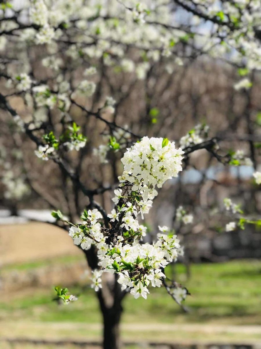 فرا رسیدن نوروز باستانی و آغاز سال نو ۱۴۰۳ هجری خورشیدی به مردم متدین افغانستان و ملت‌های حوزۀ تمدنی نوروز، تبریک و تهنیت باد! نوروز فرصتی است برای شروع دوباره و بازتولید امید و انرژی. امیدواریم که این سال برای مردم ما پُر از سلامتی، موفقیت، خوشبختی و سعادت پایدار باشد. با تأسف…