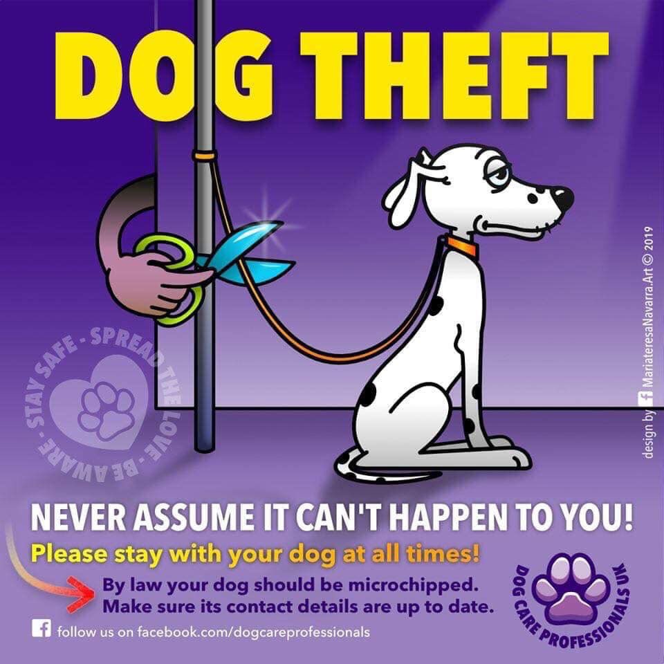 #PetTheftAwarenessWeek 

#DogTheft 

PLEASE STAY WITH YOUR DOG AT ALL TIMES 

Never assume it can’t happen to you 

@pettheftaware @SAMPAuk_ @juliagarland73  @JacquiSaid @thedogfinder @TuffenuffDobes1 @BitofDecorum @ruthwill64 @alid2912 @HunnyJax @LisaClareRead2 @bs2510