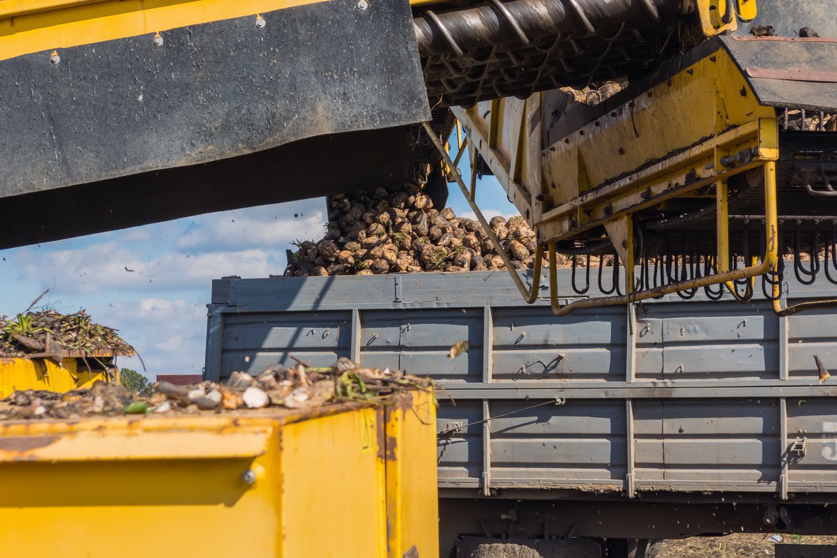 sugaronline's tweet image. #SUGAR NEWS #EUROPE: @EUSugarUsers and @UCAB_Ukraine call for reconsideration of amendments to trade deal. sugaronline.com/2024/03/19/eur…. Join us today to read the full story! #commoditiestrading #softcommodities #sugarindustry #EuropeanUnion #sugarbeet #Ukraine #EU