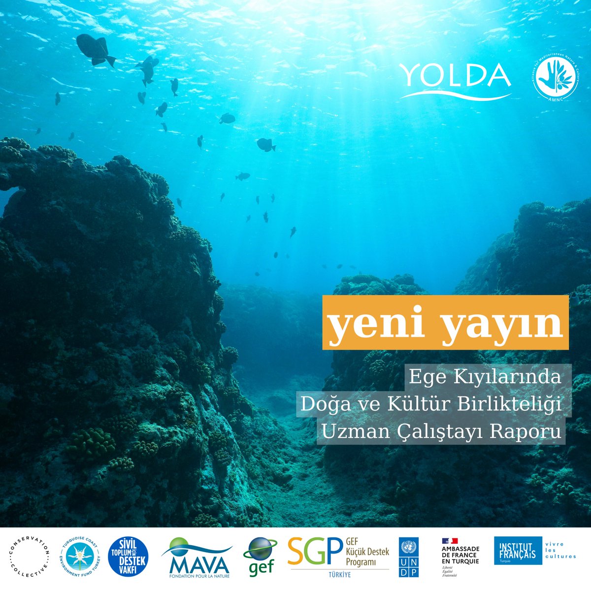 Yolda Initiative tweet media