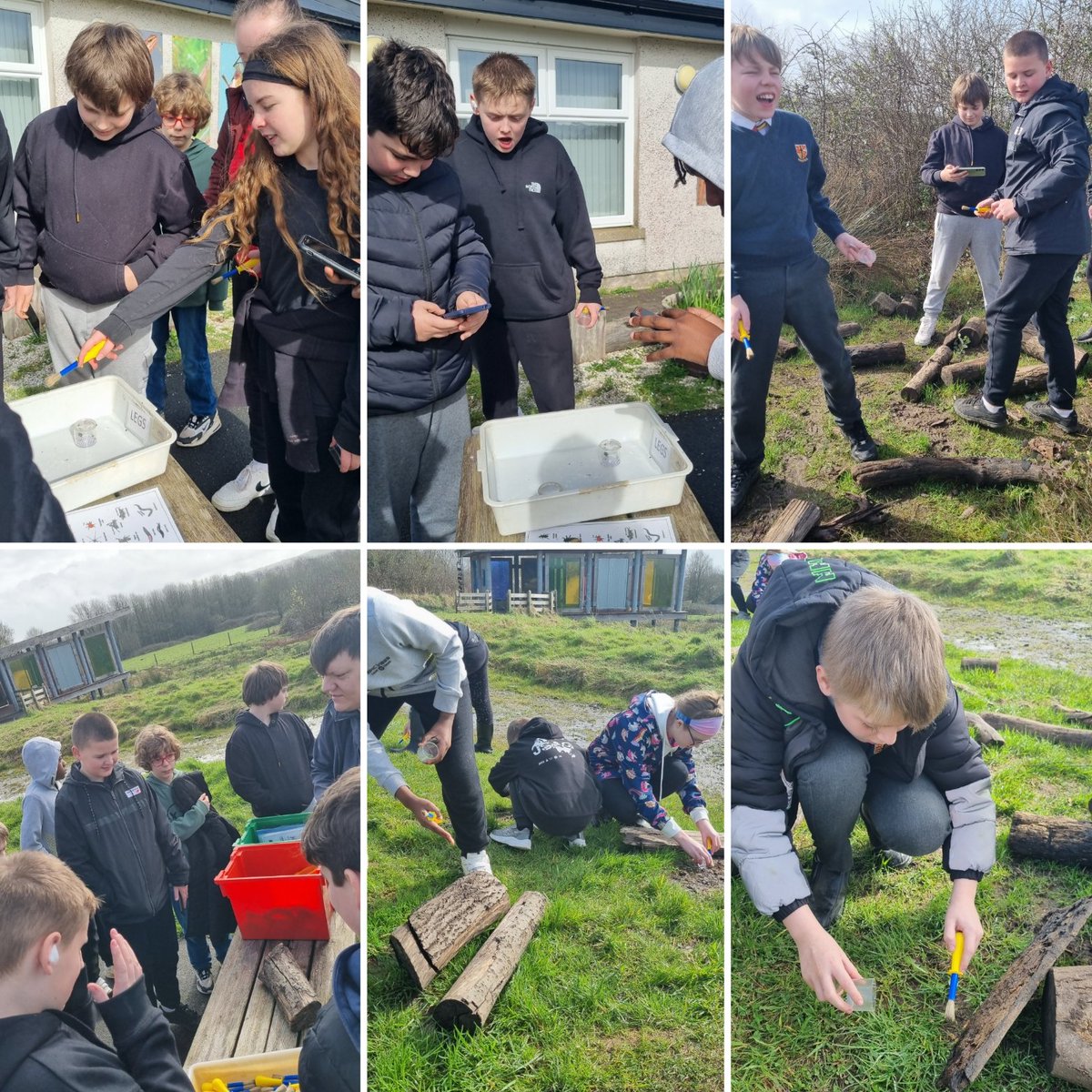 Our Year 7 Dyfodol class visited @WWTLlanelli today, where they participated in various habitat activities such as pond dipping. A huge thank you to the wardens for providing such an engaging and worthwhile experience #ethicalandinformedcitizens