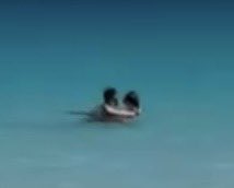 your_vinylshelf's tweet photo. oh my god they’re so in love look at her face 😭😭😭🫶🫶🫶🫶 https://t.co/SXZZwb9IKh