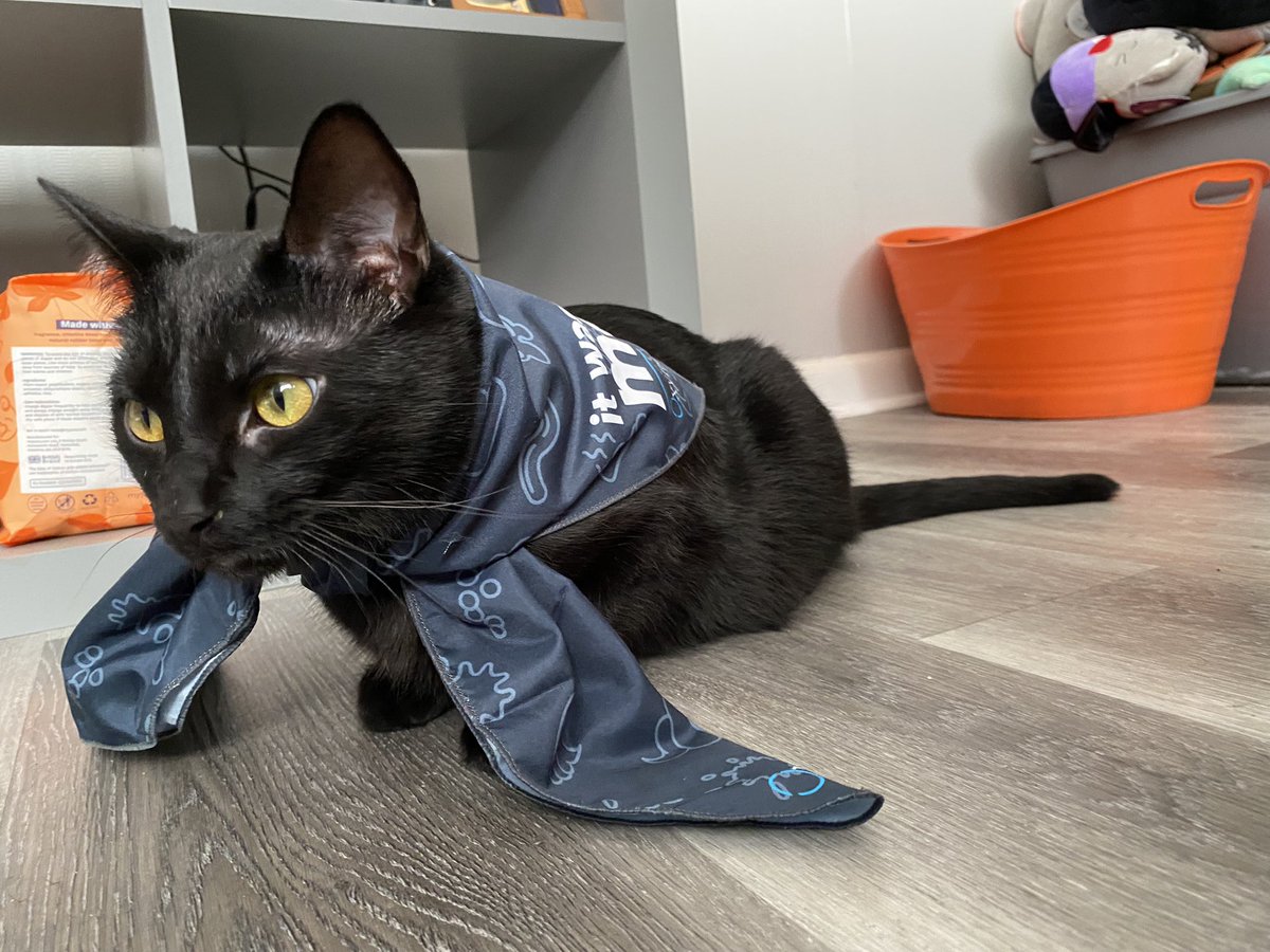 thedynamiccatt1's tweet photo. it wasn’t me, @Oxyfresh! Or was it? 👀😈 https://t.co/21pafExNJl