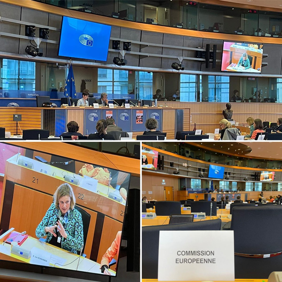 Joining @Europarl_EN #LIBE workshop on equality today to present the #EUAntisemitismStrategy that lead to national strategies and actions and the use of @theIhra definition. ‼️ Fighting antisemitism is not a responsibility for the Jews, but for all who cherish democracy‼️