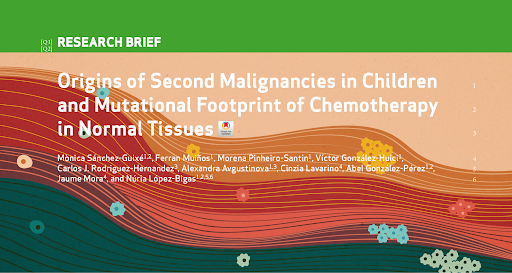 Our work on the origins of second malignancies in children is out in Cancer Discovery @IRBBarcelona @bbglab @IRSJD_info doi.org/10.1158/2159-8… 1/16
