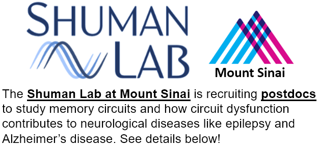 The Shuman Lab at @SinaiBrain is looking for new postdocs! With new funding💸 and students graduating🎓we now have 2+ postdoc positions open in the lab. We use in vivo recordings and manipulations to investigate memory circuits and how they go wrong in neurological diseases.👇