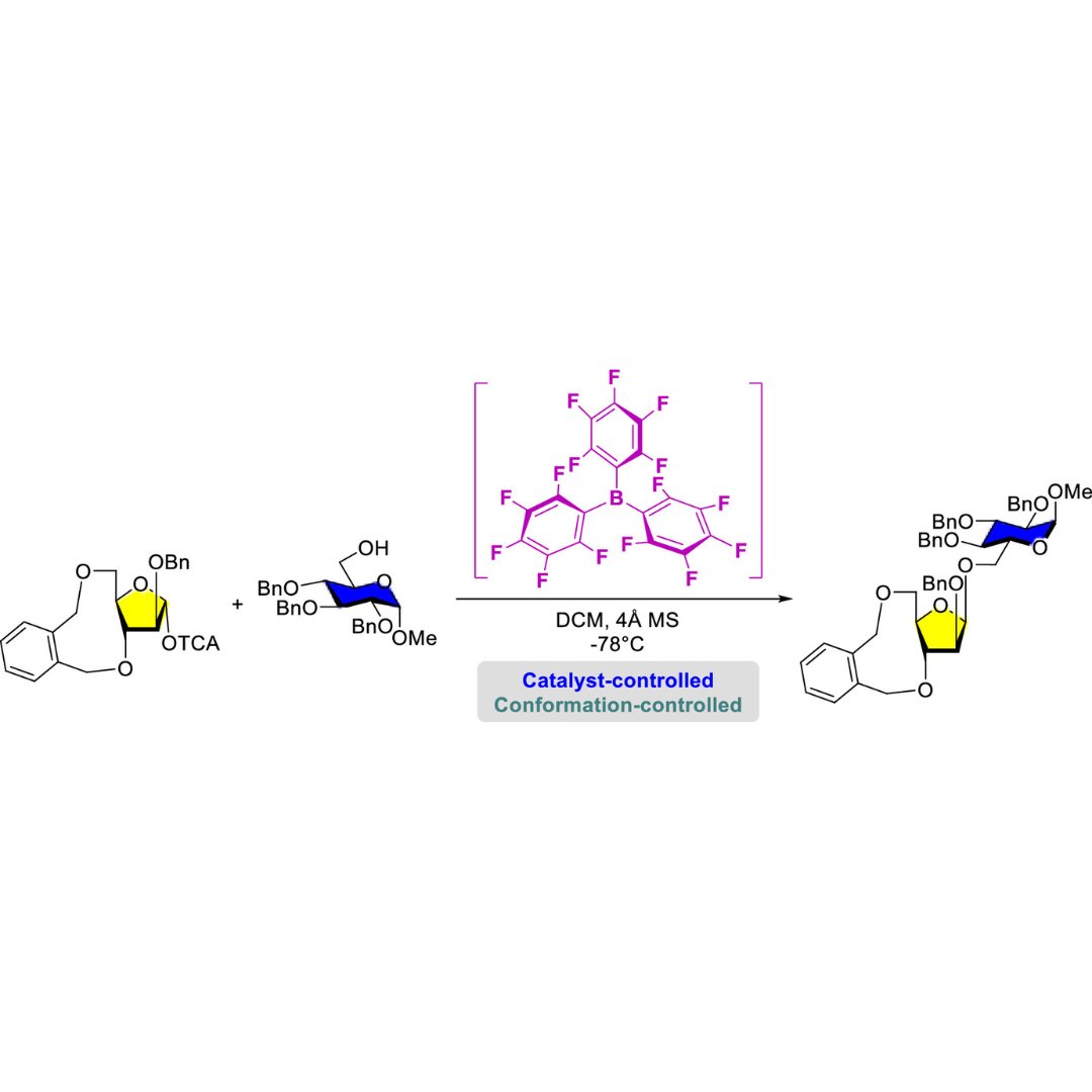 B(C6F5)3-Catalyzed Stereoselective 1,2-cis Arabinofuranosylation with a Conformationally Constrained Donor Yuhua Liu, Yichu Nie, Wenbin Deng, Feiqing Ding et al. Check it out 👉 go.acs.org/8wX @RIKEN_CPR @tokyotech_en